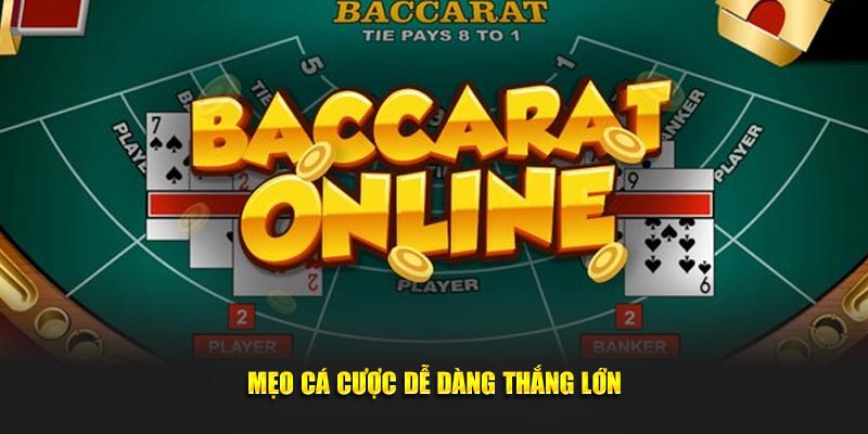 Mẹo cá cược dễ dàng thắng lớn